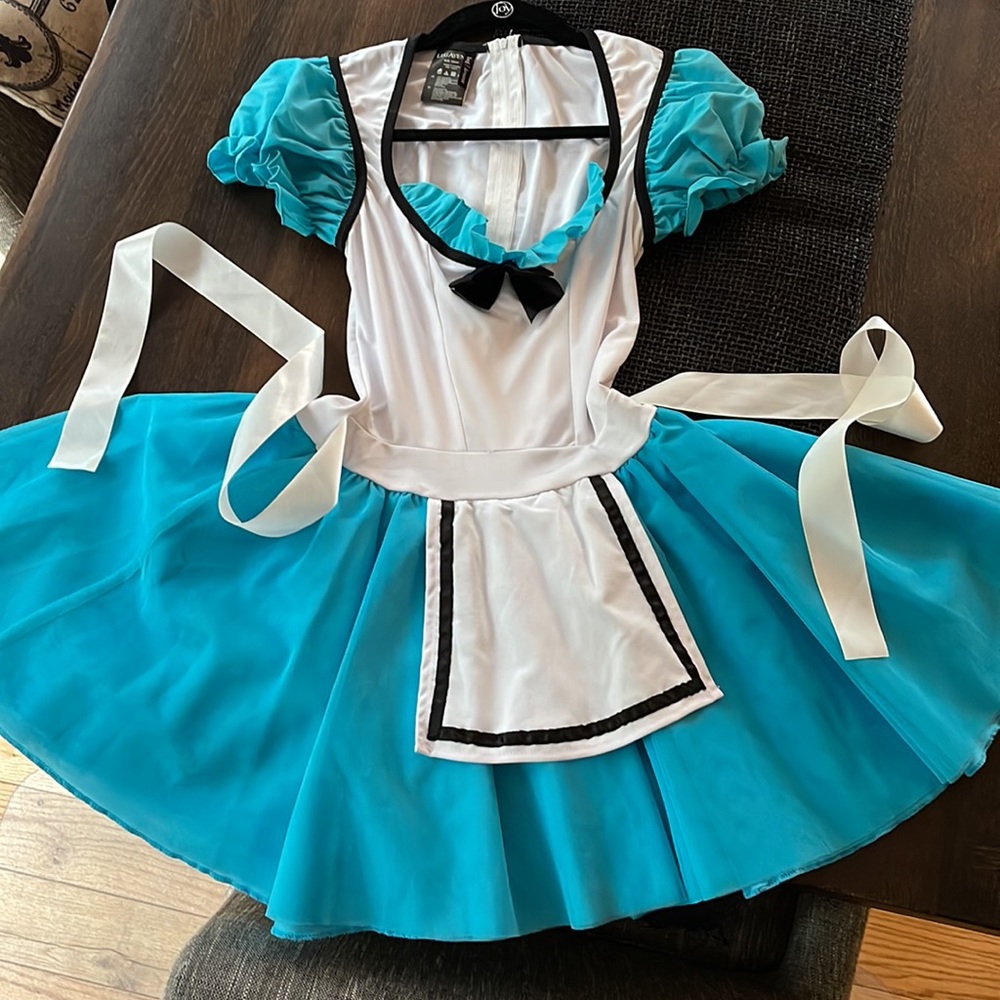 Alice In Wonderland.                              Halloween Costume Sz Small